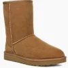 The Ugg Classic Short Boot in Chestnut